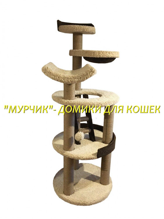 Крэйзи